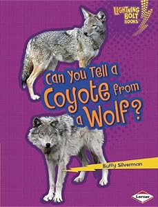 Can You Tell a Coyote from a Wolf? by Buffy Silverman