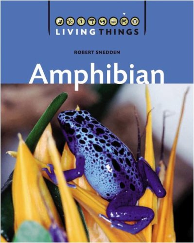 Amphibians by Robert Snedden