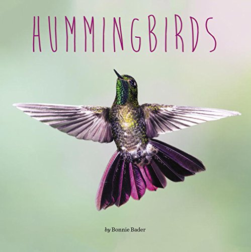 Hummingbirds by Bonnie Bader