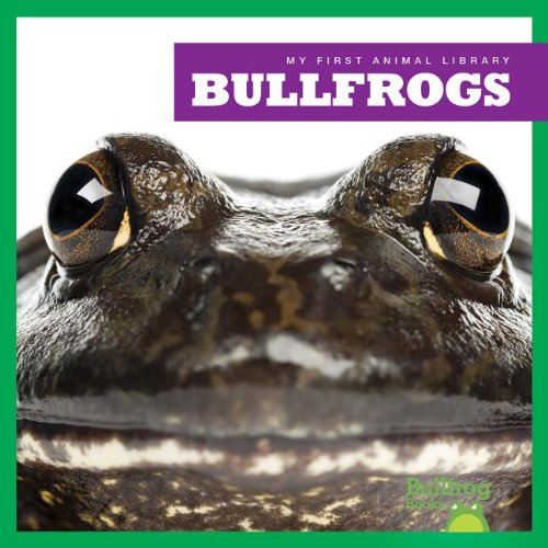 Bullfrogs by Martha E. H. Rustad