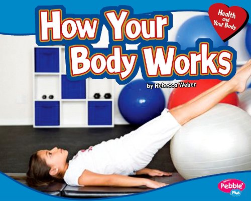 How Your Body Works by Rebecca Weber