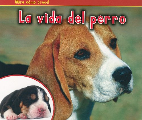 La vida del perro by Nancy Dickmann