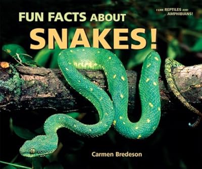 Fun Facts About Snakes!