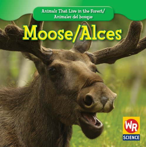 Moose/ Alces by JoAnn Early Macken