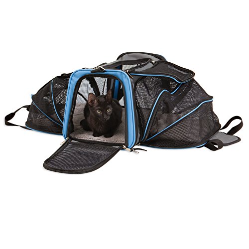 Algopix Similar Product 5 - Petmate Jackson Galaxy Double