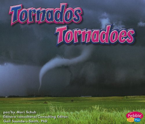 Tornados/Tornadoes by Mari Schuh