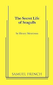 The Secret Life of Seagulls by Henry Meyerson