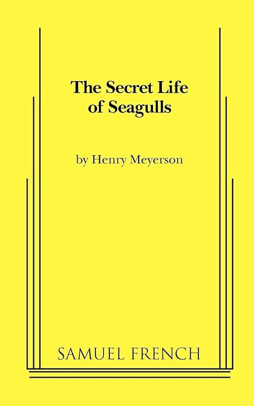 The Secret Life of Seagulls by Henry Meyerson