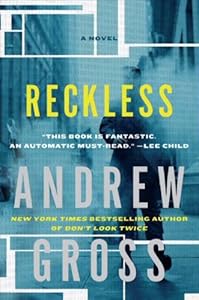 Reckless: A Novel (Ty Hauck)