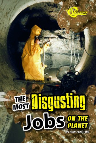 The Most Disgusting Jobs on the Planet (Disgusting Stuff) by John Perritano