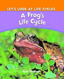 A Frog's Life Cycle