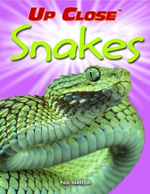 Snakes (Up Close)