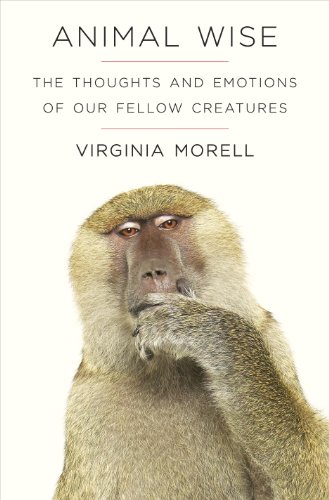 Animal Wise: The Thoughts and Emotions of Our Fellow Creatures by Virginia Morell