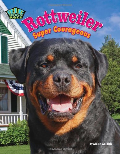 Rottweiler by Meish Goldish