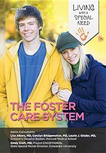 The Foster Care System