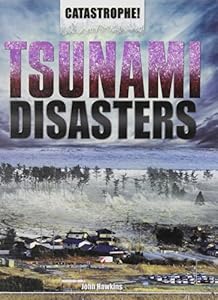 Tsunami Disasters