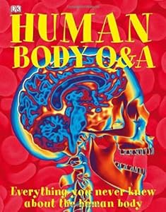 Human Body Q&amp;A