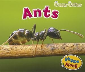 Ants