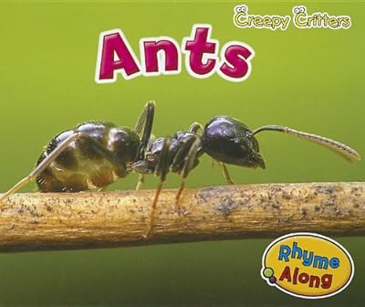 Ants