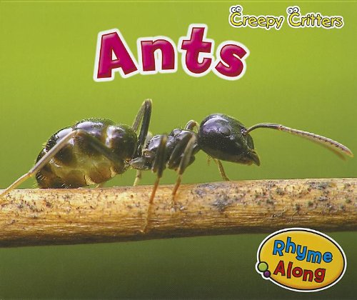 Ants by Rebecca Rissman