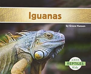 Iguanas