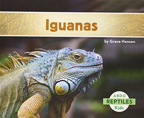 Iguanas by Grace Hansen
