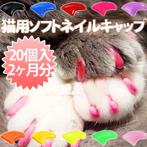 猫と暮らすブログ