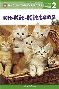 Kit-Kit-Kittens