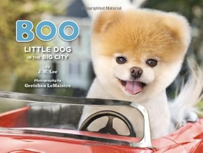 Boo: Little Dog in the Big City
