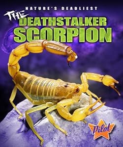 The deathstalker scorpion