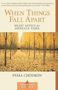 When Things Fall Apart: Heart Advice for Difficult Times