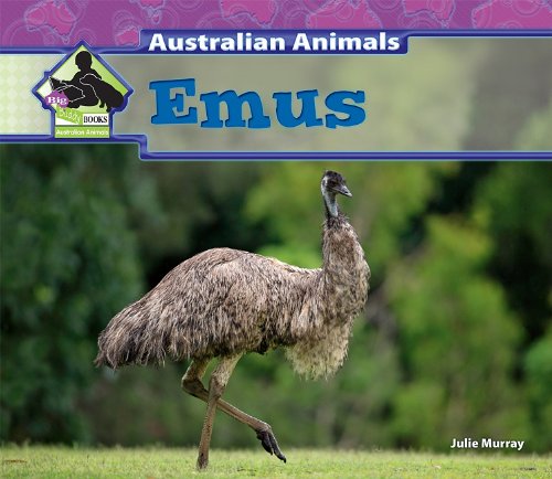 Emus by Julie Murray