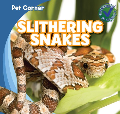 Slithering snakes by Rose Carraway