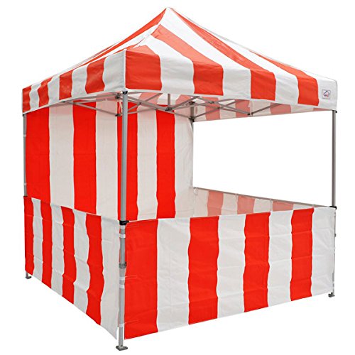 Algopix Similar Product 11 - Impact Canopy 10 x 10 PopUp Canopy