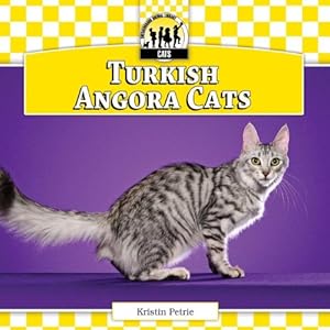 Turkish Angora Cats