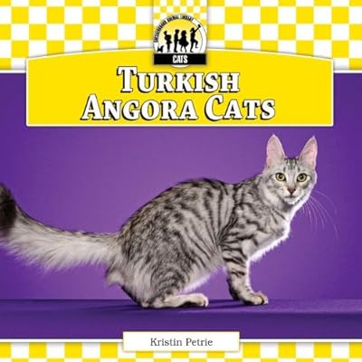 Turkish Angora Cats