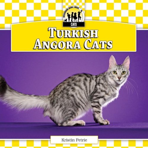 Turkish Angora Cats by Kristin Petrie