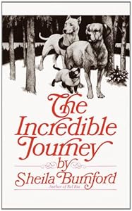 The Incredible Journey