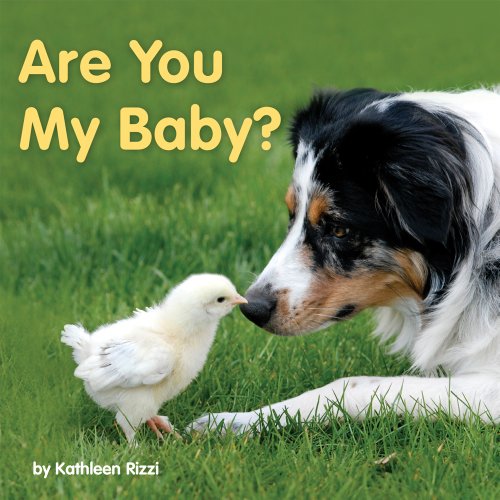 Are You My Baby? by Kathleen Rizzi