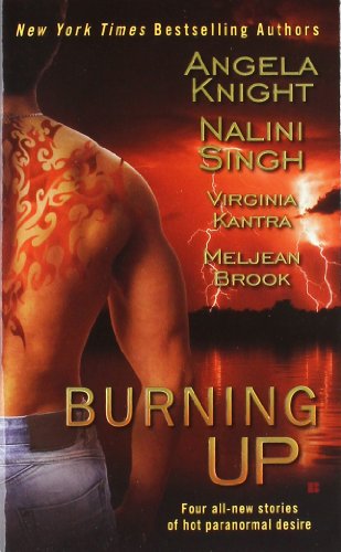 Burning Up by Angela Knight