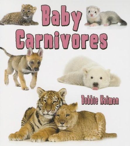 Baby Carnivores by Bobbie Kalman