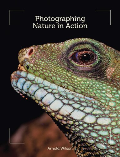 Photographing Nature in Action by Arnold Wilson