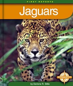 Jaguars (First Reports/Animals) by Darlene R. Stille