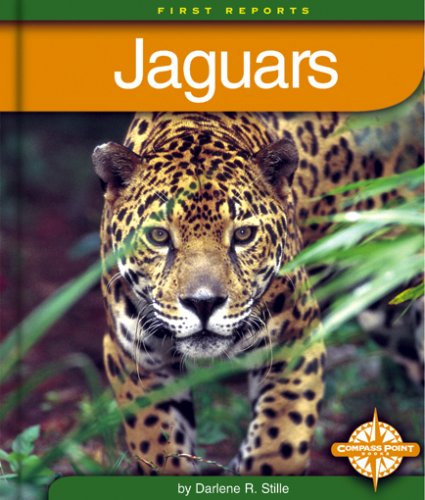 Jaguars (First Reports/Animals) by Darlene R. Stille
