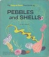 My easy-to-read true book of pebbles and shells ([My easy-to-read true books] 17)