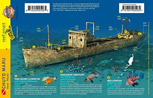Algopix Similar Product 12 - Palau Chuyo Maru Waterproof Dive Site