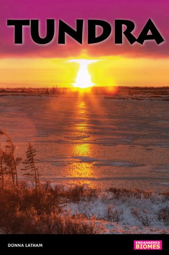 Tundra by Donna Latham