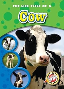 The Life Cycle of a Cow
