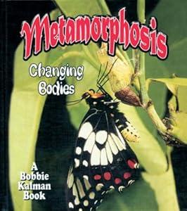 Metamorphosis: Changing Bodies