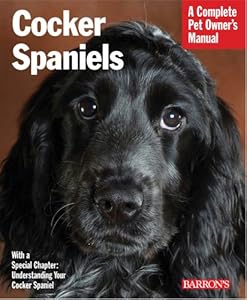 Cocker Spaniels by Jamie Sucher